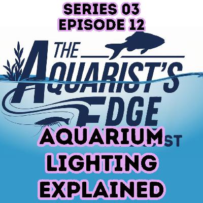 Aquarium Lighting Explained: PAR, Spectrum, Algae & How to Choose the Right Fish Tank Light Aquarium Lighting Explained: PAR, Spectrum, Algae & How to Choose the Right Fish Tank Light