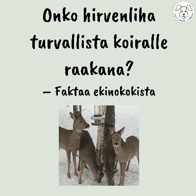 Onko hirvenliha turvallista koiralle raakana? Faktaa ekinokokista