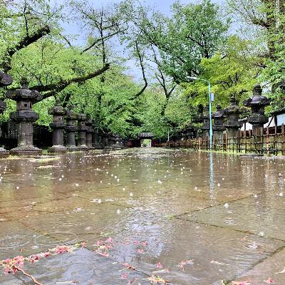 25. Weathering With You