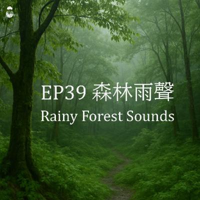 EP39_森林雨聲_Rainy Forest Sounds EP39_森林雨聲_Rainy Forest Sounds