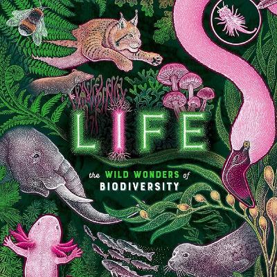 The wild wonders of biodiversity