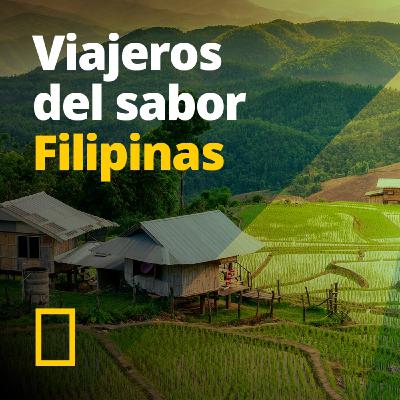 Todo sobre el ron filipino Todo sobre el ron filipino