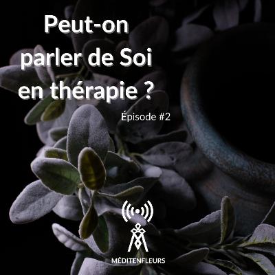Episode 2 - Peut-on parler de soi en thérapie ?
