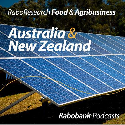 Energy transition and feedstock demand in Europe with RaboResearch Global Energy Transition Strategist Susan Hansen Energy transition and feedstock demand in Europe with RaboResearch Global Energy Transition Strategist Susan Hansen