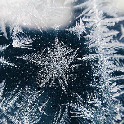 Episode 43: Neutral Combinations for Winters
