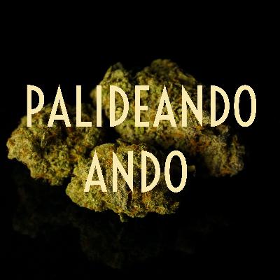El regreso