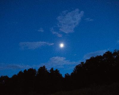 13 - Grief & Vulnerability