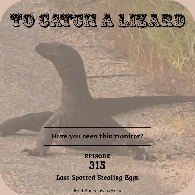 315: To Catch a Lizard