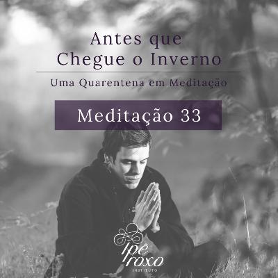 Meditação 33 - Mãos em prece