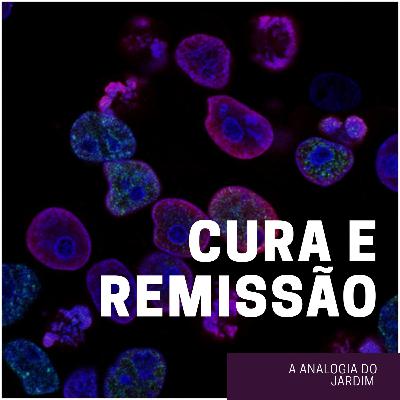 Câncer: cura ou remissão? A analogia do jardim