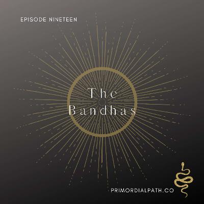 The Bandhas