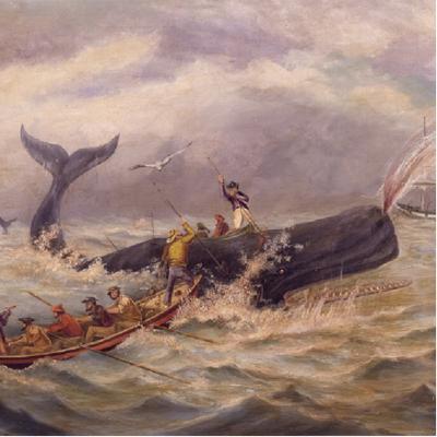 The Wellerman’s Waiting Room (Trailer)