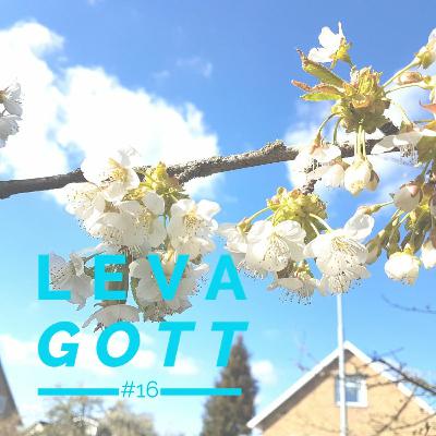 16: Nycklar till ett meningsfullt och mänskligt arbetsliv 16: Nycklar till ett meningsfullt och mänskligt arbetsliv