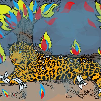 Incêndio no Pantanal.