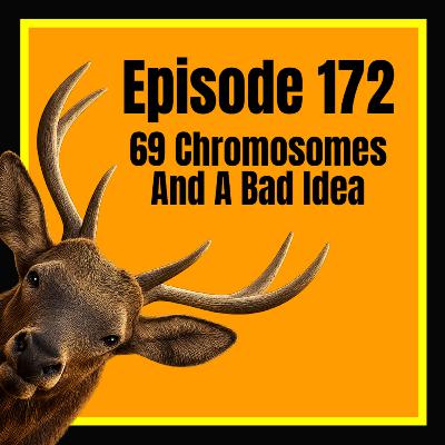 Episode 172: 69 Chromosomes and a Bad Idea