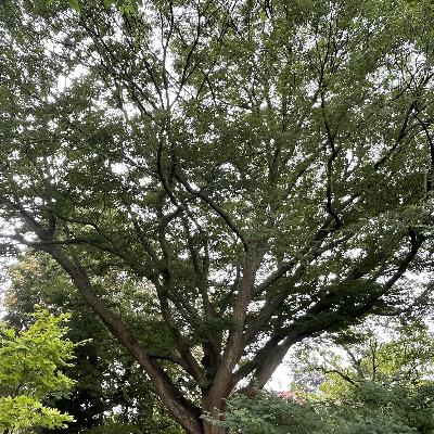 S1 AFLEVERING 2 DICK DE VOS S1 AFLEVERING 2 DICK DE VOS