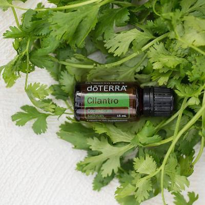 Cilantro Olio Essenziale dōTERRA