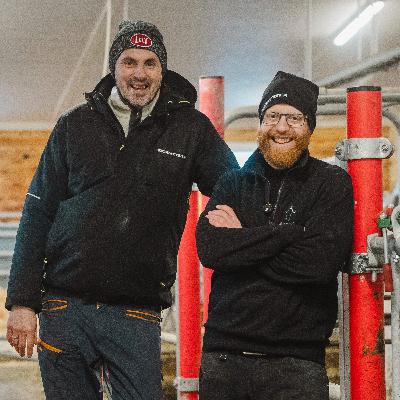 Effektiv melkeproduksjon og god dyrevelferd i Vingelen Effektiv melkeproduksjon og god dyrevelferd i Vingelen