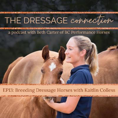 EP13: Breeding Dressage Horses with Kaitlin Colless of Sevenoaks Farm