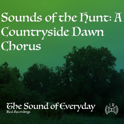 Sounds of the Hunt: A Countryside Dawn Chorus - Relaxing Nature Sound