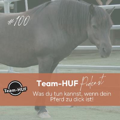 Folge 100: Was du tun kannst, wenn dein Pferd zu dick ist!