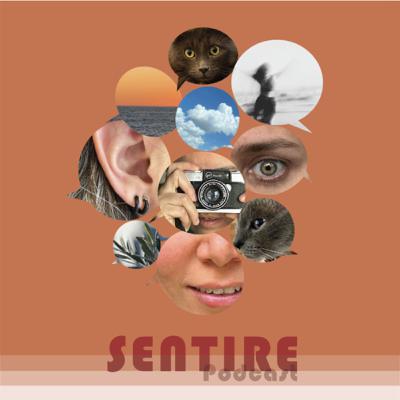 T1. EP5./ESCRIBIR/ SOPITA DE LETRAS CON ERA ÁNTILO