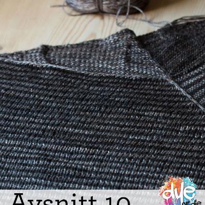 Avsnitt 10