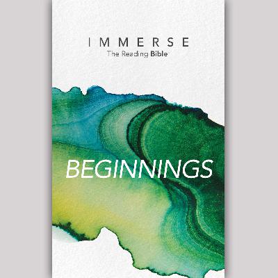 Immerse: Beginnings – Week 4: Day 19