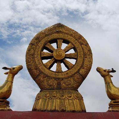 Hiểu Bát Chánh Đạo Trong 8 Phút | Nền Tảng Tu Tập Của Mọi Pháp Môn Hiểu Bát Chánh Đạo Trong 8 Phút | Nền Tảng Tu Tập Của Mọi Pháp Môn