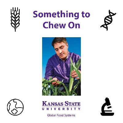 Big data, interdisciplinary research and the future of agriculture