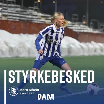 742. DAM Styrkebesked 742. DAM Styrkebesked
