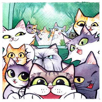 Bienvenidos a la Fiesta en la Colonia