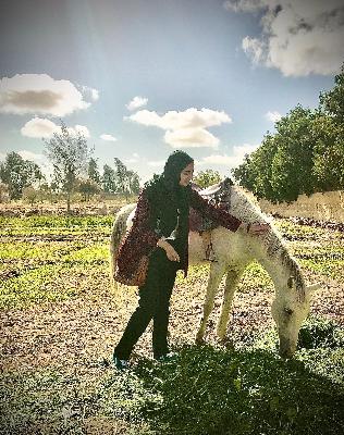 "We're a culture that revolves around food" "We're a culture that revolves around food"