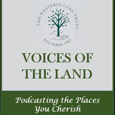 Ep. 12 - Stonington Kelp Co.