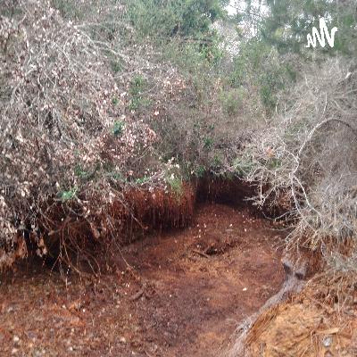 bosquejo toma de decisiones bosquejo toma de decisiones