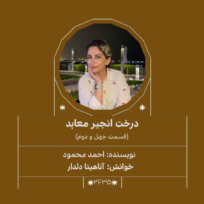 2635.درخت انجیر معابد (قسمت چهل و دوم)
