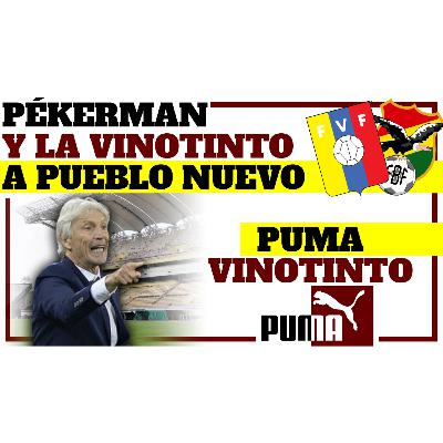 PÉKERMAN Y LA VINOTINTO A PUEBLO NUEVO - PUMA A LA VINOTINTO PÉKERMAN Y LA VINOTINTO A PUEBLO NUEVO - PUMA A LA VINOTINTO
