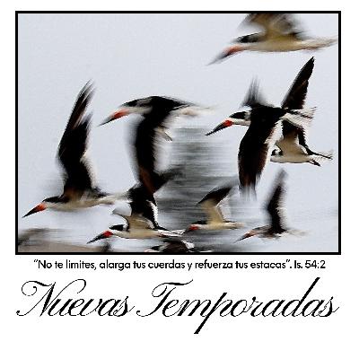Nuevas Temporadas