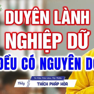 Duyên lành hay Nghiệp báo đều không phải ngẫu nhiên - Thầy Thích Pháp Hòa