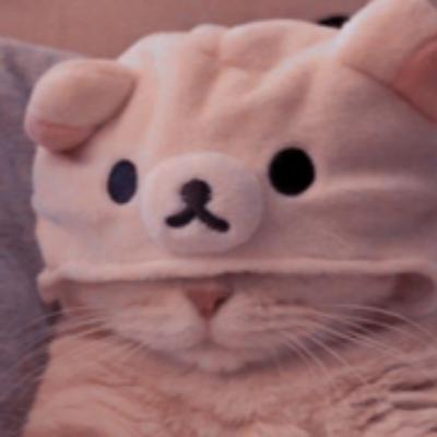 Sleeping aid Sleeping aid