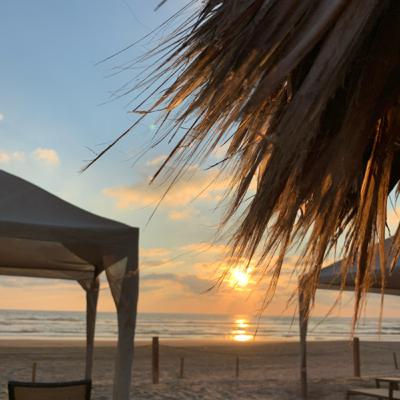 Disminución en el consumo de carnes