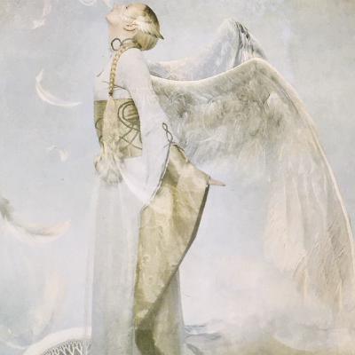 048 10 der Luft - Frage: Ökologischer Fußabdruck