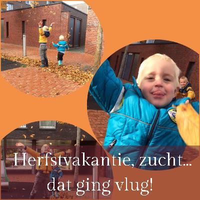 Herfstvakantie, zucht... dat ging vlug! Herfstvakantie, zucht... dat ging vlug!