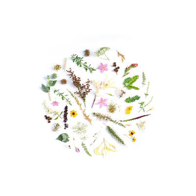 Dating and the Mafia