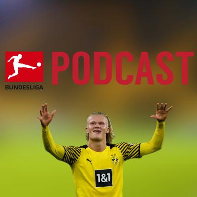 Bundesliga Spieltags-Talk Bundesliga Spieltags-Talk