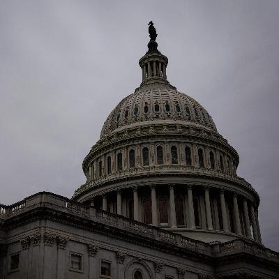 USA - Auch Senat stimmt für Offenlegung der Epstein-Akten