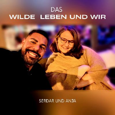 Bodyshaming, Konversionstherapie und mach dich Rar und du bist ein Star