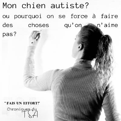 Mon chien autiste ? Ou pourquoi on se force à faire des trucs qu’on n'aime pas...