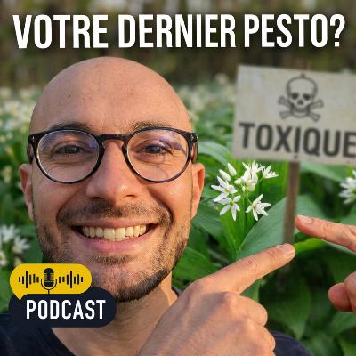 Ail des ours : la confusion qui envoie aux urgences chaque printemps