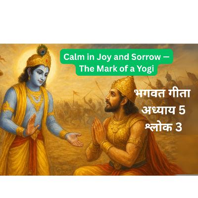 Bhagavad Gita Chapter 5 Shlok 3 | Calm in Joy and Sorrow — The Mark of a Yogi | Sanatan Stings